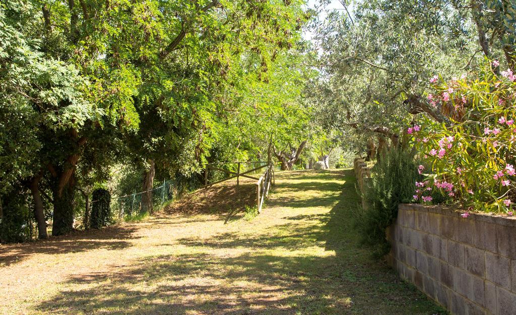 Blucamp Natural Village Campiglia Marittima Ngoại thất bức ảnh